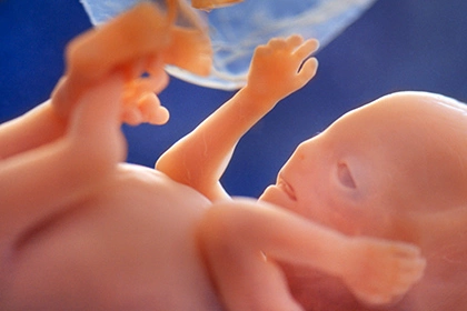 Британские ученые попросили разрешить им менять гены в эмбрионах человека