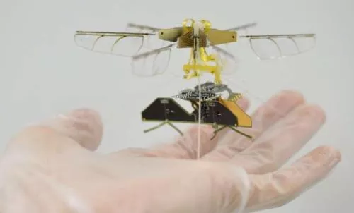 Японцы создали робота-насекомого, не нуждающегося в батарее и проводном подключении