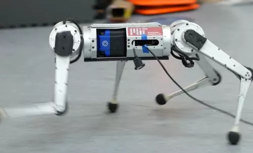 Искусственный интеллект позволяет роботу-гепарду приобретать опыт и двигаться быстрее с каждым разом