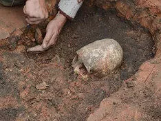 Археологи обнаружили необычный скелет в заповеднике "Аркаим" 