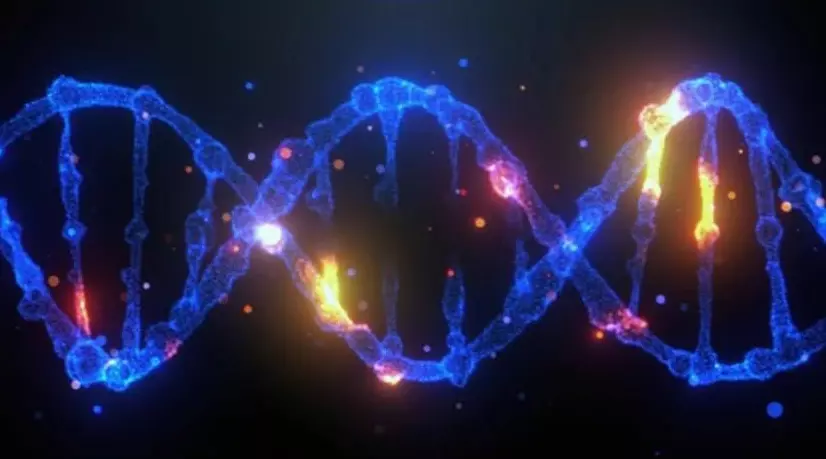 Ученые научились включать и отключать конкретные гены с помощью разрядов тока