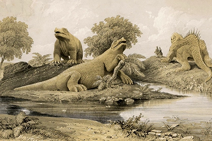 Ученые доказали постепенное вымирание динозавров