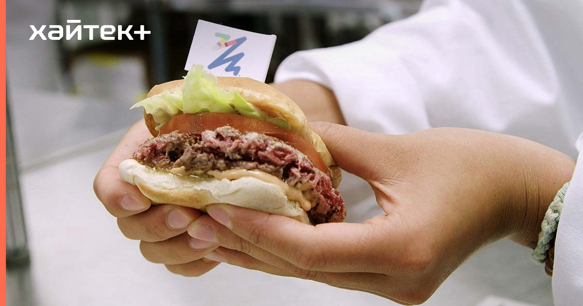 Культивируемое мясо от Tiamat Sciences будет в разы дешевле настоящего