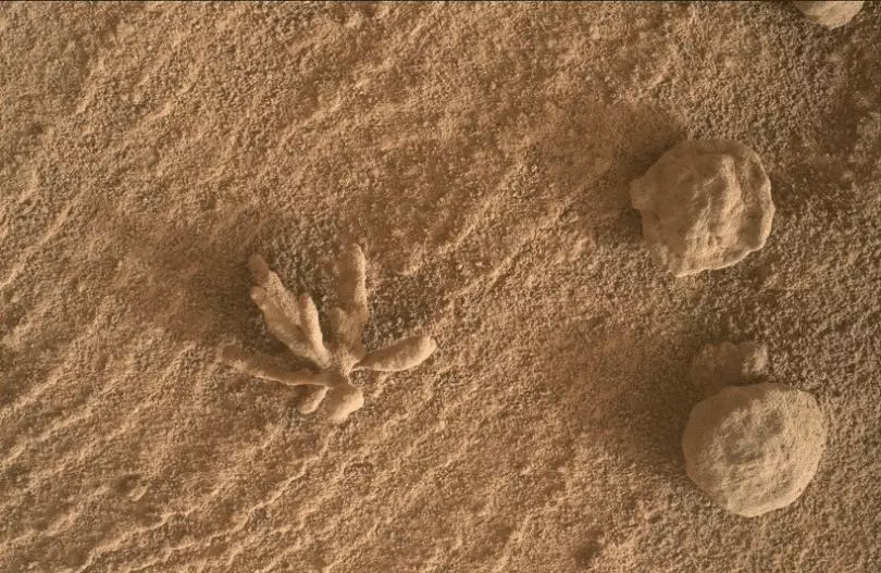 Марсоход Curiosity сфотографировал «каменный цветок»