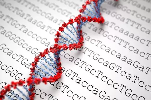 Впервые за всю историю геном человека секвенирован на все 100 процентов