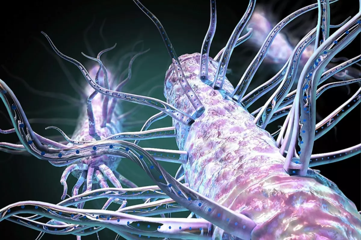 Биопленка мертвых бактерий производит электричество из пота