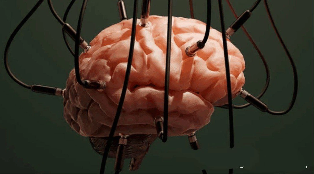 Ученые предложили создать биокомпьютер с клетками человеческого мозга